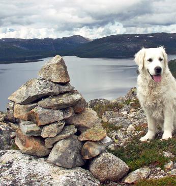 Sandvatnet i bakgrunnen.