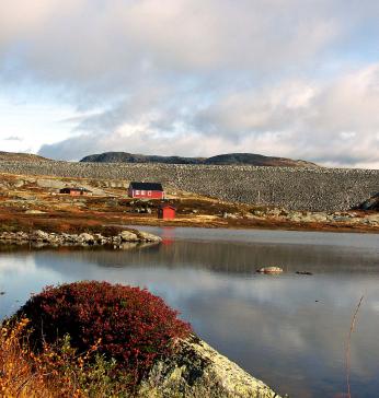Lyngsvatnet.