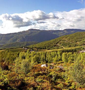 Utsikt over feltet fra Risåsen.